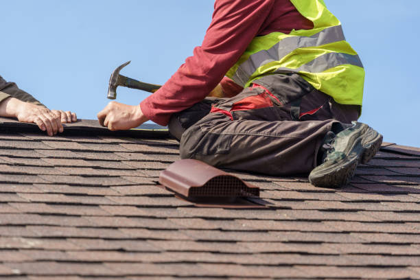 Best Storm Damage Roof Repair  in Pleasant View, TN